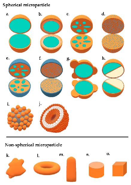 types of core shell microparticles